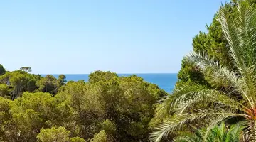 Iberostar Waves Club Cala Barca