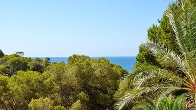 Iberostar Waves Club Cala Barca