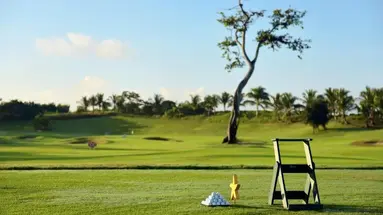 IBEROSTAR WAVES DOMINICANA
