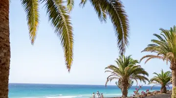 Iberostar Waves Gaviotas Park