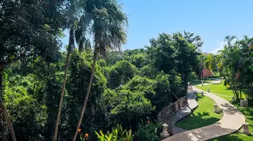 IBEROSTAR WAVES PARAISO BEACH