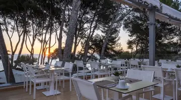Iberostar Waves Pinos Park