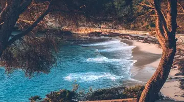 Iberostar Waves Pinos Park