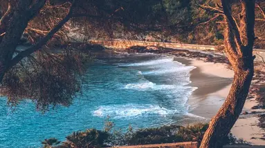 Iberostar Waves Pinos Park