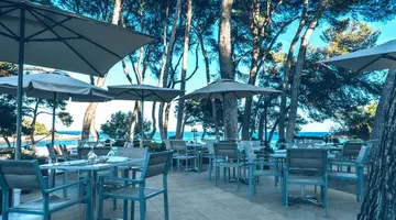 Iberostar Waves Pinos Park