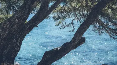 Iberostar Waves Pinos Park