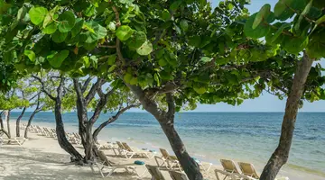 Iberostar Waves Rose Hall Beach All Inclusive