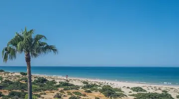 Iberostar Waves Royal Andalus