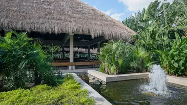 Iberostar Waves Tucan