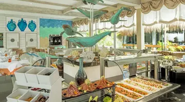 Iberostar Waves Tucan