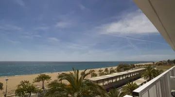 IBERSOL SORRA D OR