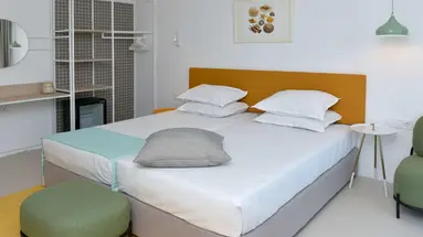 Ibis Style Roomer