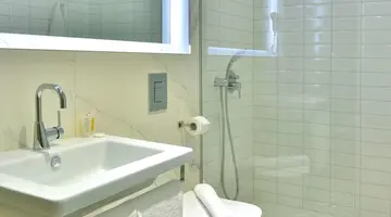 Ibis Style Roomer
