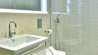 Ibis Style Roomer