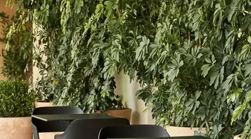 Ibis Styles Heraklion Central