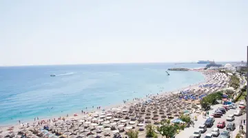 IBISCUS