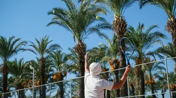 IC HOTELS GREEN PALACE & VILLAS