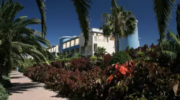 IFA Altamarena by Lopesan Hotels - All I