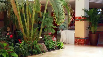 IFA Altamarena Hotel