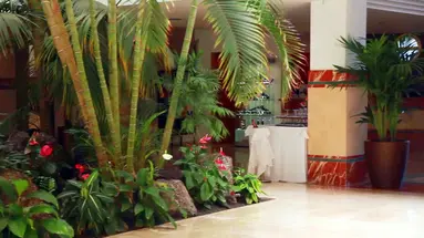 IFA Altamarena Hotel