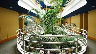 IFA Altamarena Hotel
