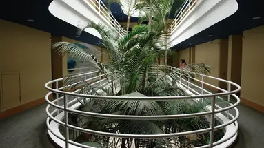 IFA Altamarena