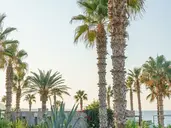 IKAROS BEACH LUXURY RESORT&SPA
