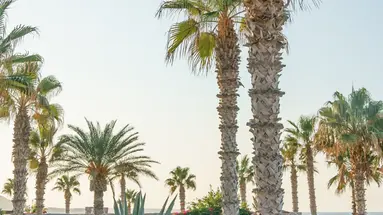 IKAROS BEACH LUXURY RESORT&SPA