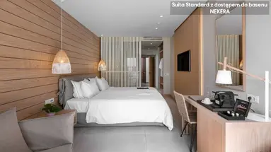 Ikones Seafront Luxury Suites