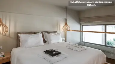 Ikones Seafront Luxury Suites