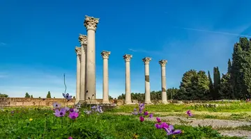 Ikos Aria 5