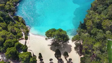 Ikos Porto Petro