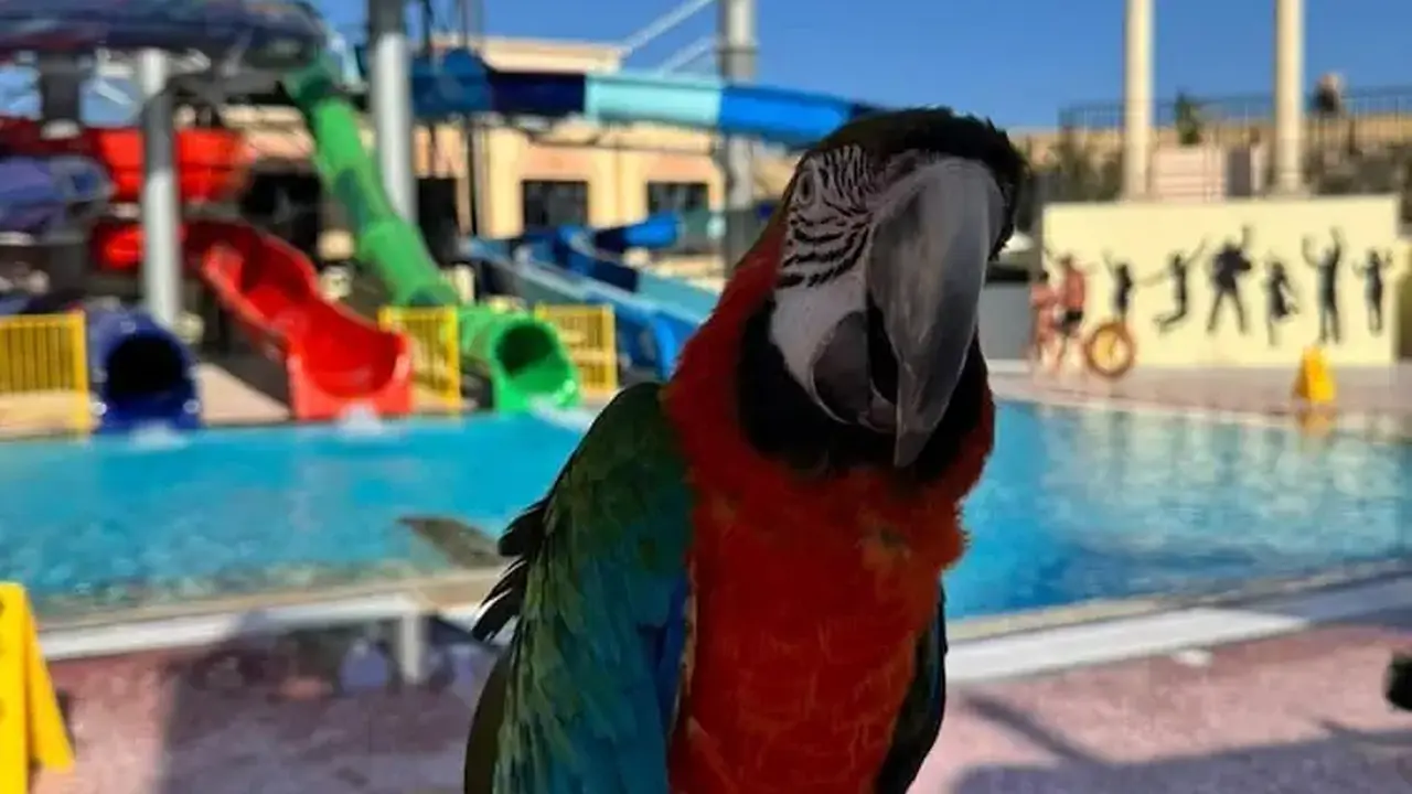 IL Mercato Splash Aqua Park