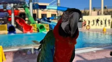 IL Mercato Splash Aqua Park