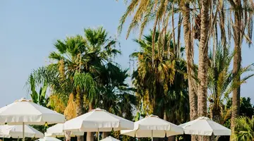 Imperial Island by Louis Hotels