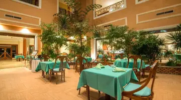 IMPERIAL SHAMS ABU SOMA
