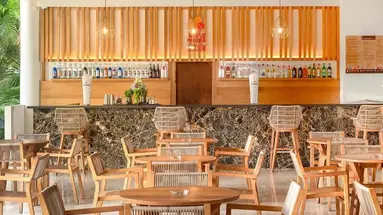 IMPRESSIVE PREMIUM PUNTA CANA