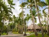 IMPRESSIVE PREMIUM PUNTA CANA