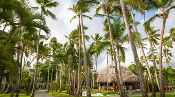 IMPRESSIVE PREMIUM PUNTA CANA
