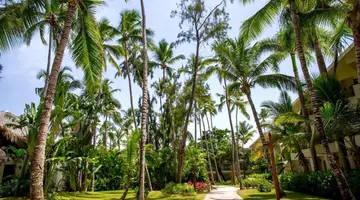 IMPRESSIVE PUNTA CANA RESORTS & SPAS