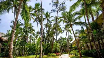 IMPRESSIVE PUNTA CANA