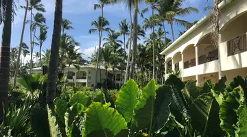 IMPRESSIVE PUNTA CANA