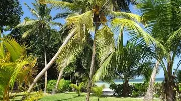 Indian Ocean Lodge