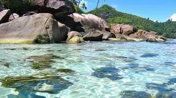 Indian Ocean Lodge
