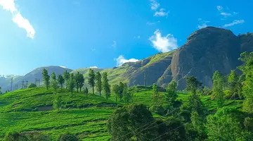 Indie - Bajeczna Kerala 3* z wypoczynkiem 4*