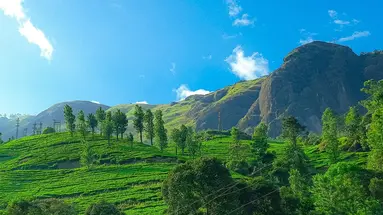 Indie - Bajeczna Kerala 3* z wypoczynkiem 4*