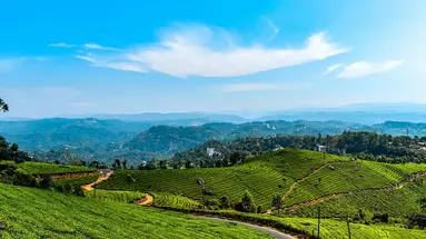 Indie - Bajeczna Kerala 3* z wypoczynkiem 4*