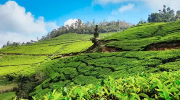 Indie - Bajeczna Kerala 3* z wypoczynkiem 4*