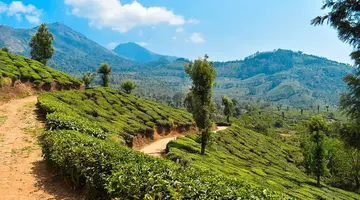 Indie - Bajeczna Kerala 3* z wypoczynkiem 4*