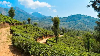 Indie - Bajeczna Kerala 3* z wypoczynkiem 4*